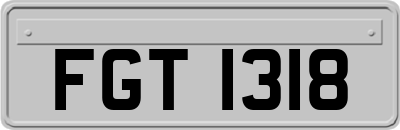 FGT1318