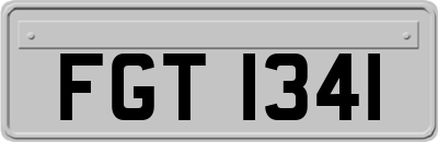 FGT1341