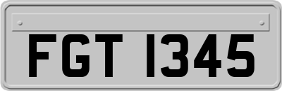 FGT1345