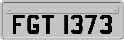 FGT1373