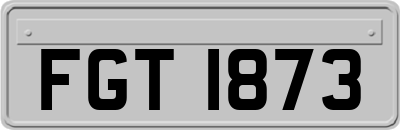 FGT1873