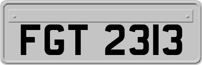 FGT2313