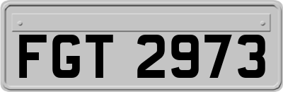 FGT2973