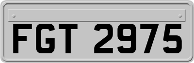 FGT2975