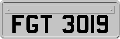 FGT3019