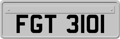 FGT3101