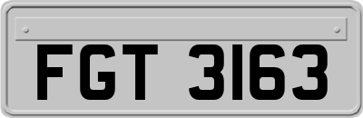 FGT3163