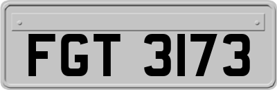 FGT3173