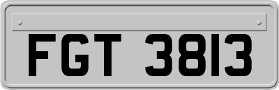 FGT3813