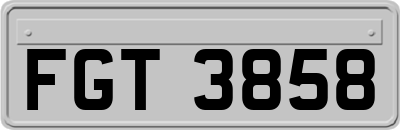 FGT3858