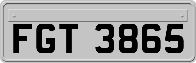 FGT3865