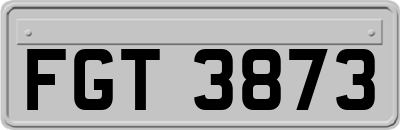 FGT3873