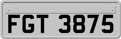 FGT3875