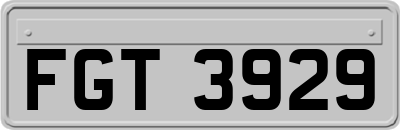 FGT3929