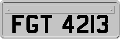 FGT4213