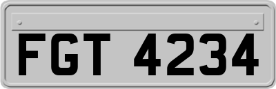 FGT4234