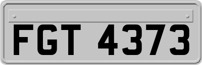 FGT4373