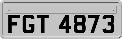 FGT4873