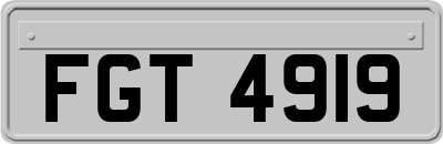 FGT4919
