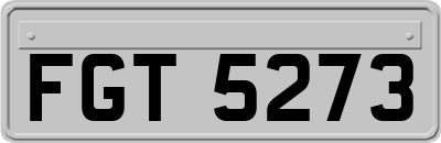 FGT5273