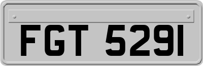 FGT5291