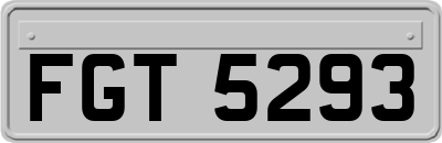 FGT5293