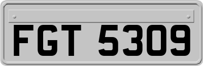 FGT5309