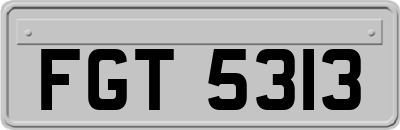FGT5313