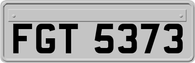 FGT5373