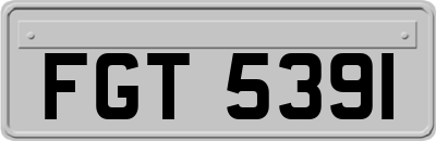 FGT5391