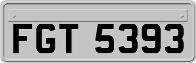 FGT5393