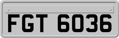 FGT6036