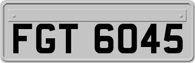 FGT6045