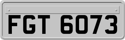 FGT6073