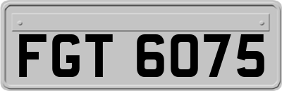 FGT6075