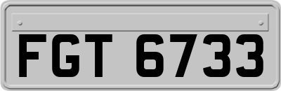 FGT6733