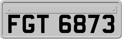 FGT6873
