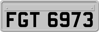 FGT6973