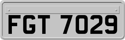 FGT7029