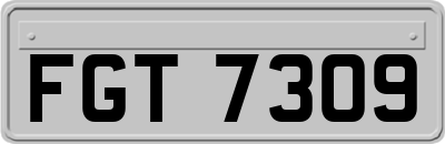 FGT7309