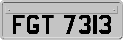 FGT7313