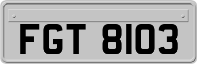 FGT8103