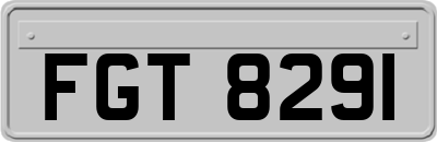 FGT8291