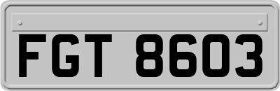FGT8603