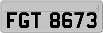 FGT8673