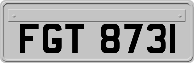 FGT8731