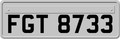 FGT8733