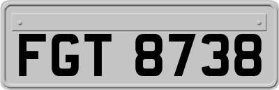 FGT8738