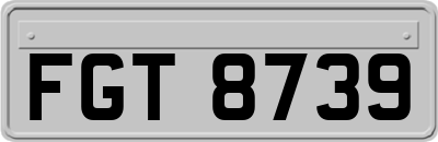 FGT8739