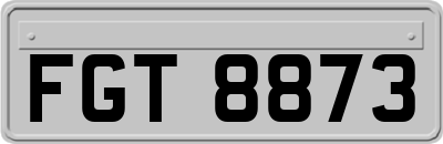 FGT8873